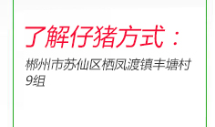 电话联系仔猪