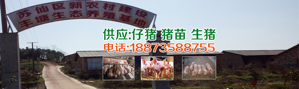 郴州苏仙区栖凤渡镇生态仔猪养殖基地
